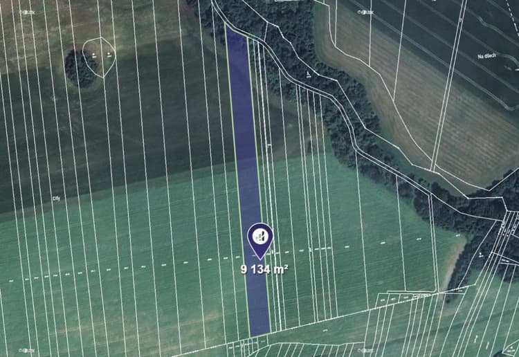 Prodej pole v k.ú. Doubravice nad Svitavou