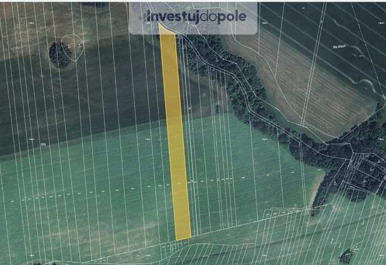 Prodej podílu 1/2 pole 4 567 m², Doubravice nad Svitavou