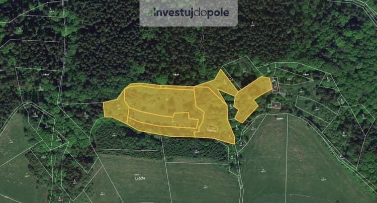 Prodej podílu 1/3 louky 4 972 m², Semily - Spálov