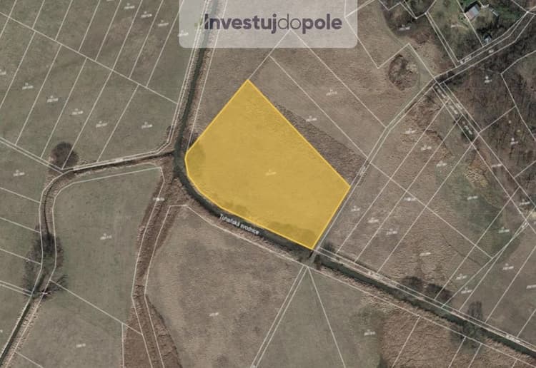 Prodej podílu 1/6 louky 1 500 m², Kly - Dolní Vinice