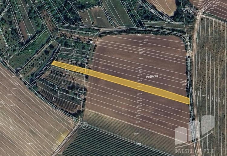 Prodej podílu 1/4 pole 1 244 m², Svatobořice-Mistřín - Svatobořice