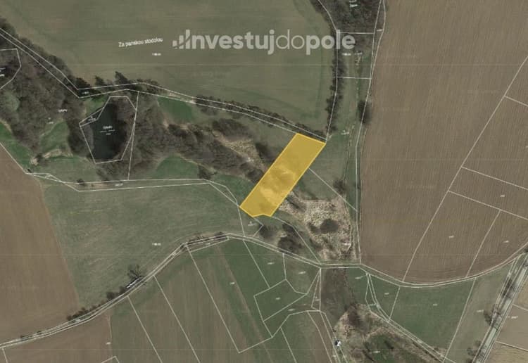 Prodej louky 3 009 m², Buřenice