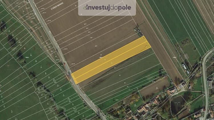 Prodej pole 7 284 m², Předín