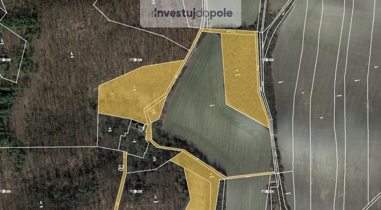Prodej podílu 1/2 louky 26 114 m², Louny