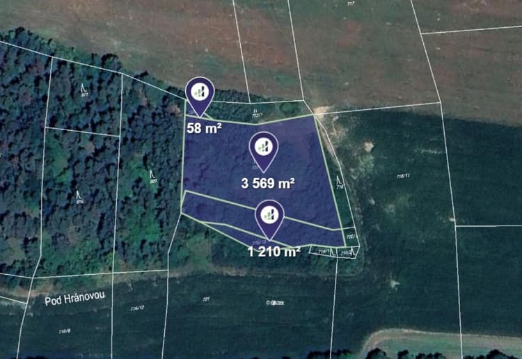 Prodej lesa v k.ú. Čepřovice