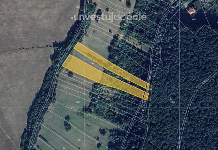 Prodej podílu 1/2 louky 3 313 m², Radějov