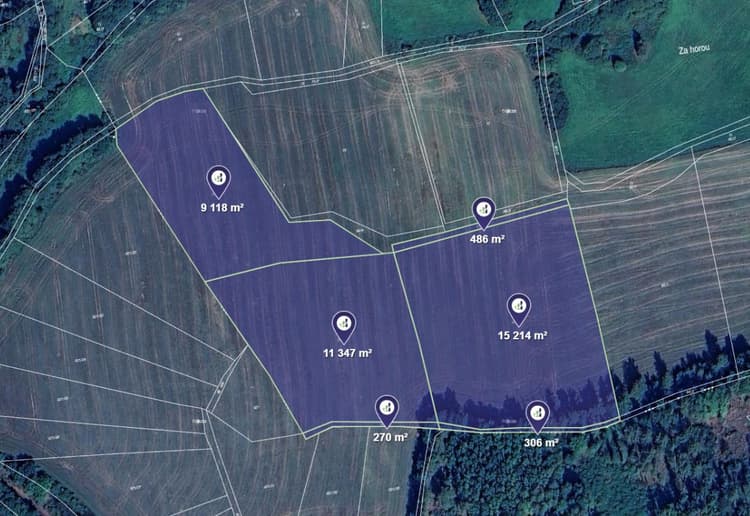 Prodej pole v k.ú. Životice u Kasejovic