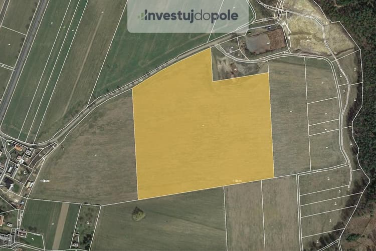 Prodej pole 68 166 m², Černíny