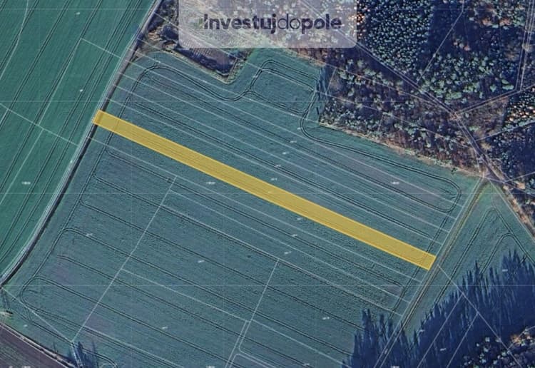 Prodej podílu 1/2 pole 2 877 m², Bítouchov - Dalešice