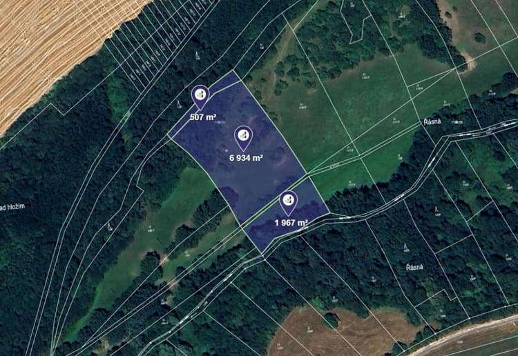 Prodej louky v k.ú. Částkov