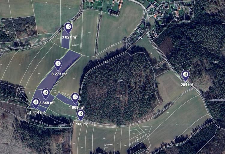 Prodej pole v k.ú. Radošovice u Vlašimi