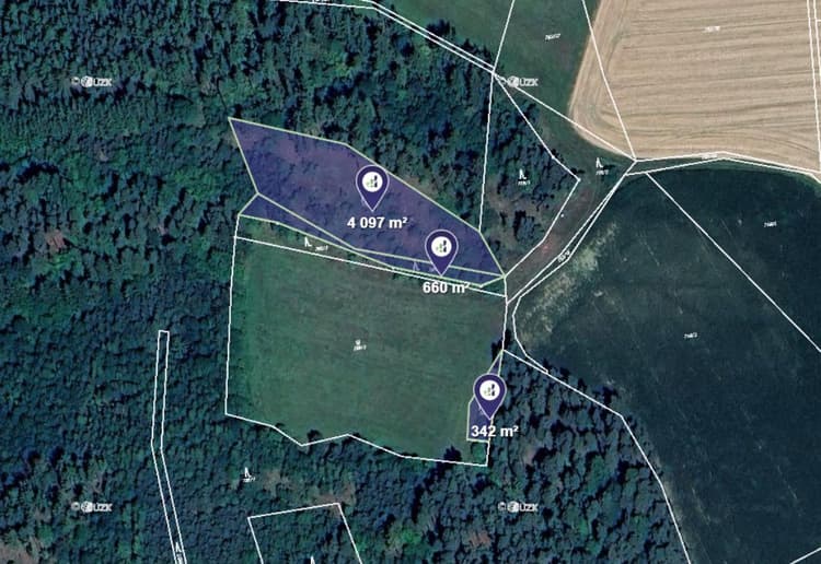 Prodej lesu v k.ú. Čepřovice