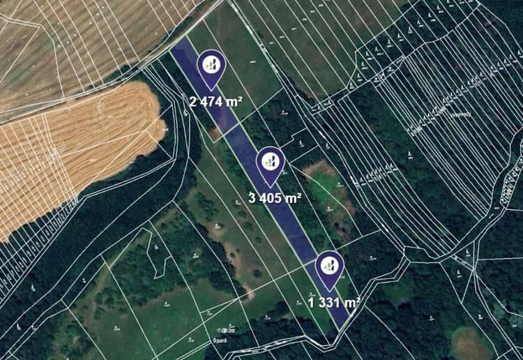 Prodej louky v k.ú. Částkov