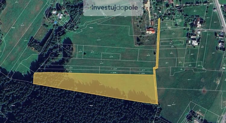 Prodej podílu 1/6 louky 2 825 m², Mosty u Jablunkova