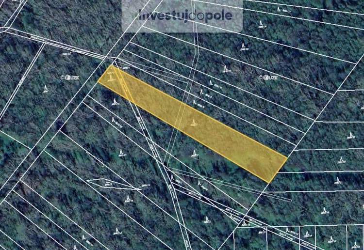 Prodej podílu 1/2 lesa 2 511 m², Kravaře - Kouty