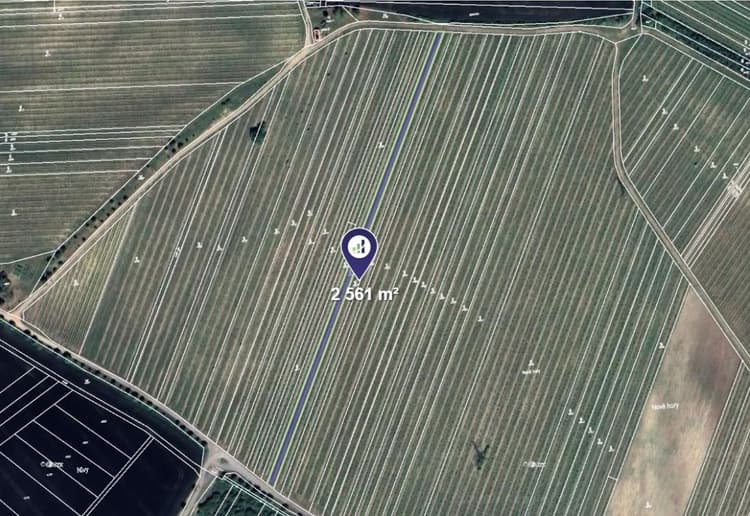 Prodej vinice v k.ú. Starovičky