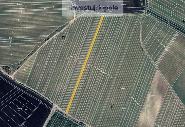 Prodej sadu / vinice 2 561 m², Starovičky