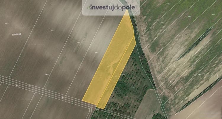 Prodej podílu 1/6 pole 2 413 m², Hustopeče