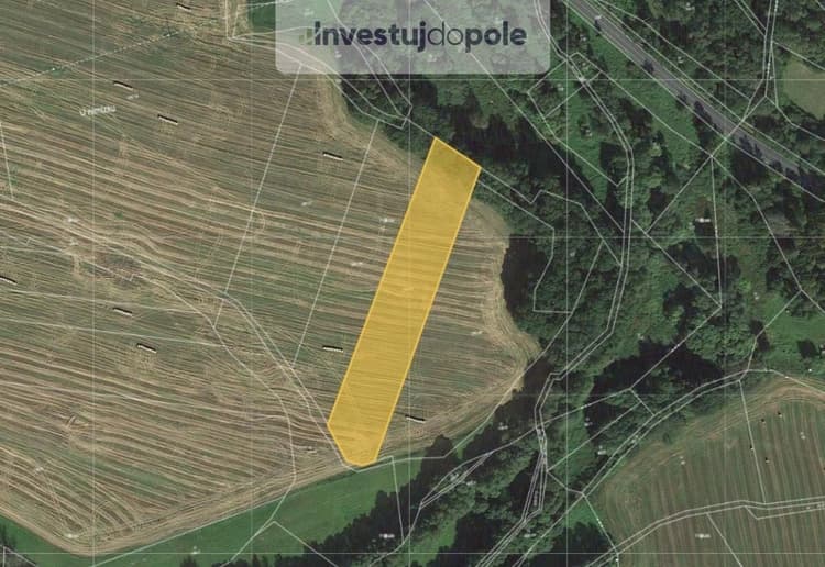 Prodej podílu 1/2 pole 3 445 m², Kasejovice - Podhůří