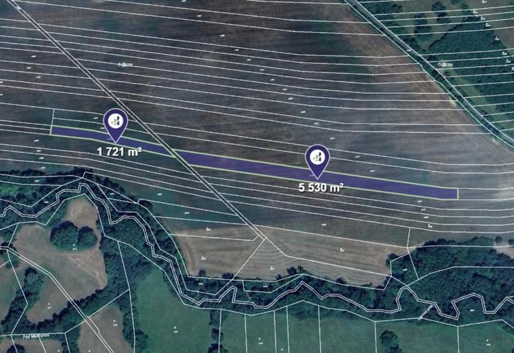 Prodej pole v k.ú. Javorník nad Veličkou