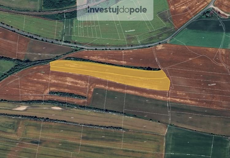 Prodej podílu 1/2 pole 9 638 m², Čečelice