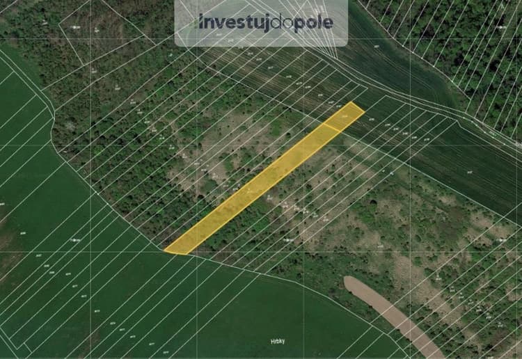 Prodej louky 1 746 m², Velké Němčice