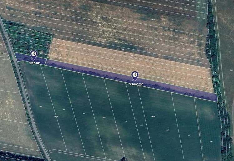 Prodej pole v k.ú. Javorník nad Veličkou