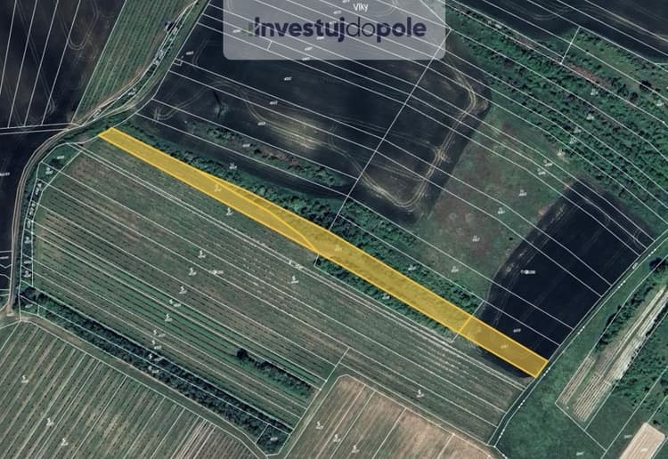 Prodej louky 4 020 m², Starovičky