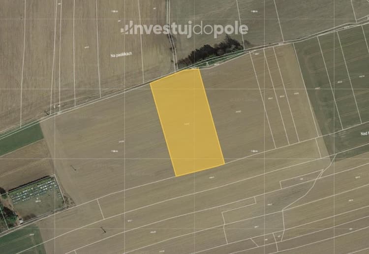 Prodej pole 9 951 m², Buřenice