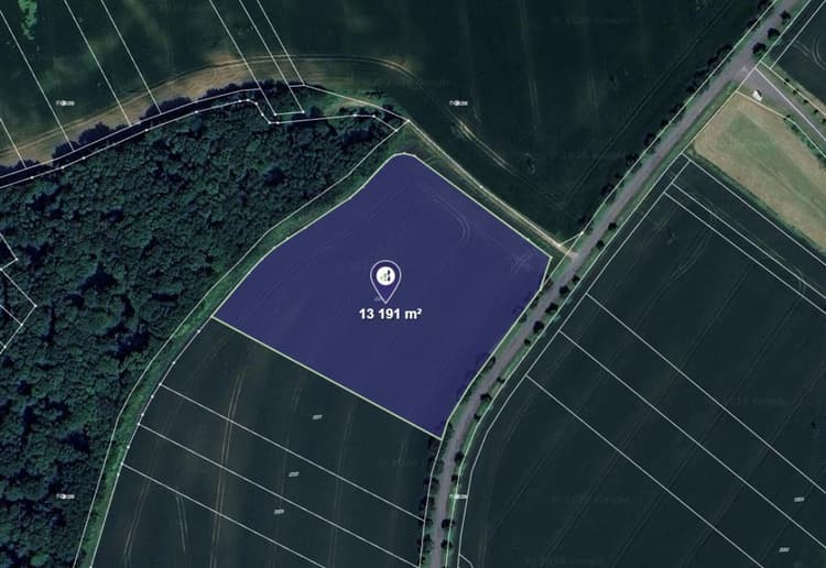 Prodej pole v k.ú. Všechovice