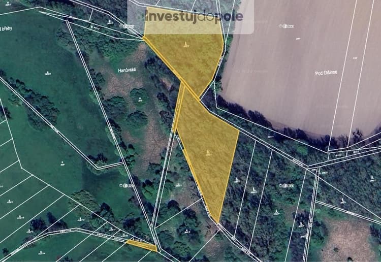 Prodej podílu 1/2 lesa 7 026 m², Kravaře - Kouty
