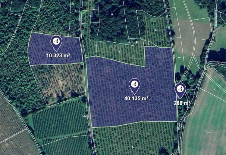 Prodej sadu v k.ú. Horní Nezly