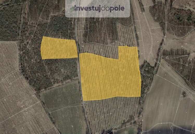 Prodej podílu 1/8 sadu / vinice 6 343 m², Liběšice - Horní Nezly