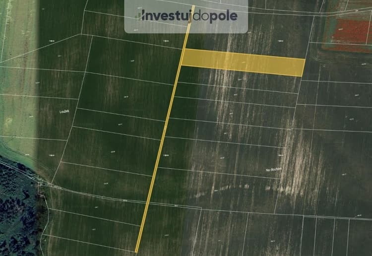 Prodej podílu 1/6 pole 2 048 m², Horní Slivno