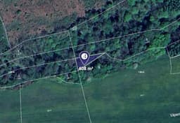 Hracholusky - foto 1