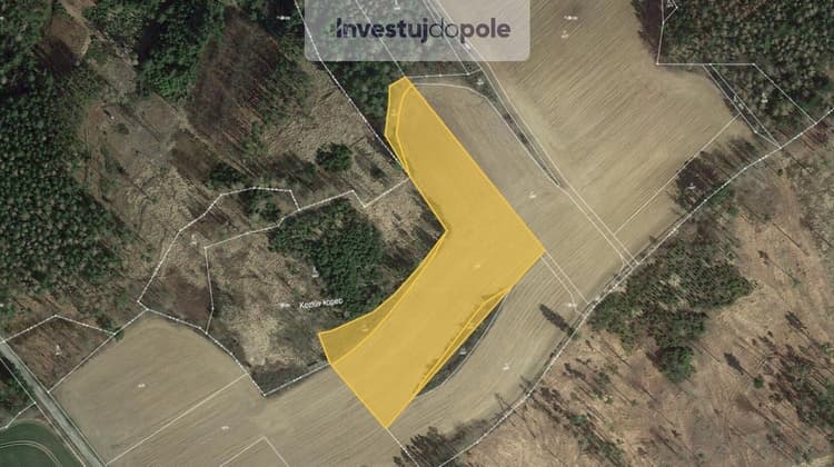 Prodej louky 13 670 m², Pravonín - Lesáky