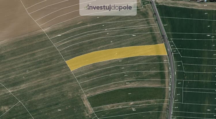 Prodej pole 7 280 m², Říčany