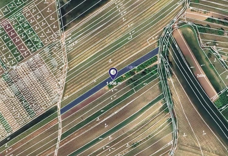 Prodej vinice v k.ú. Čejkovice