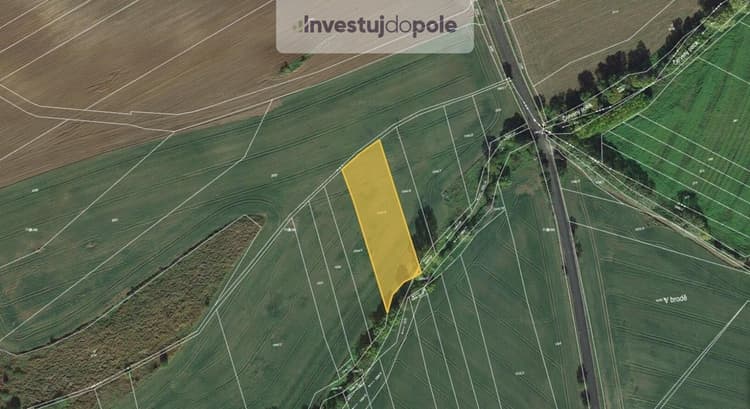 Prodej podílu 1/2 pole 1 750 m², Lišany