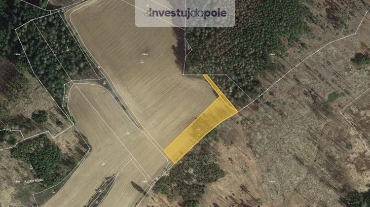 Prodej louky 3 856 m², Pravonín - Lesáky