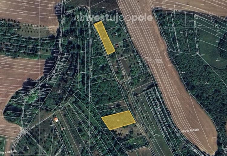 Prodej pole 2 398 m², Svatobořice-Mistřín - Svatobořice