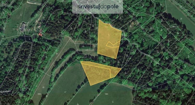 Prodej lesa 9 892 m², Vysoké nad Jizerou - Helkovice
