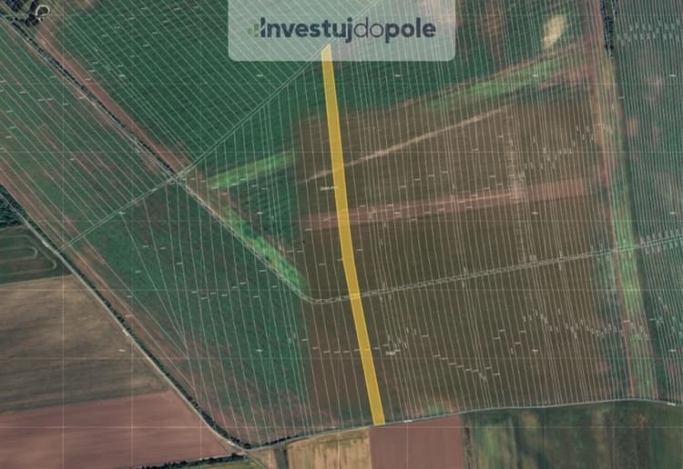 Prodej pole 8 042 m², Břeclav - Poštorná
