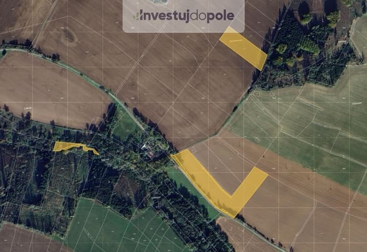 Prodej podílu 1/8 pole 3 048 m², Želiv - Vitice