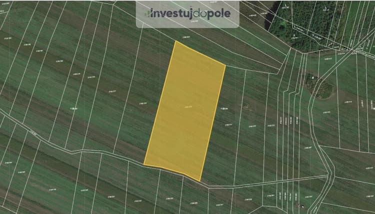 Prodej podílu 1/4 pole 3 029 m², Bzenec