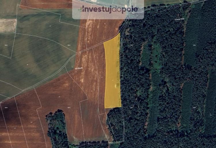Prodej podílu 1/2 pole 4 796 m², Kropáčova Vrutice - Kojovice