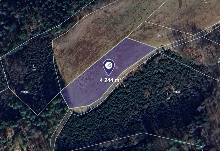 Prodej louky v k.ú. Úbislavice