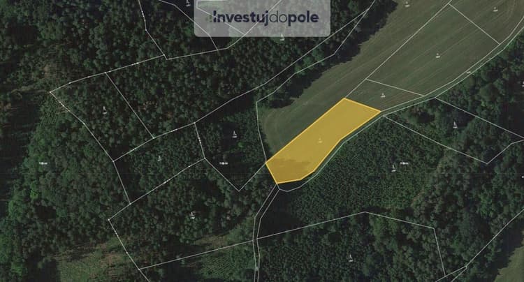 Prodej louky 4 244 m², Úbislavice