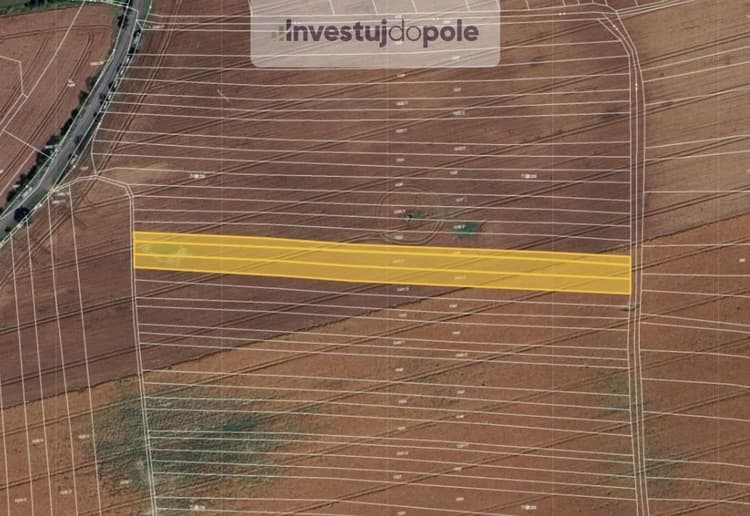 Prodej pole 6 784 m², Kelč