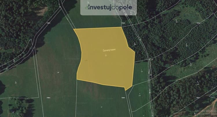 Prodej louky 19 766 m², Úbislavice